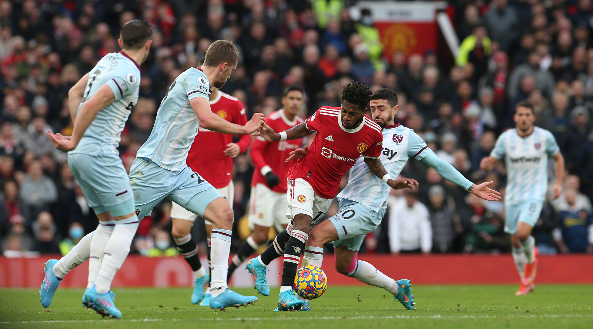 育领域的一 育领域的一